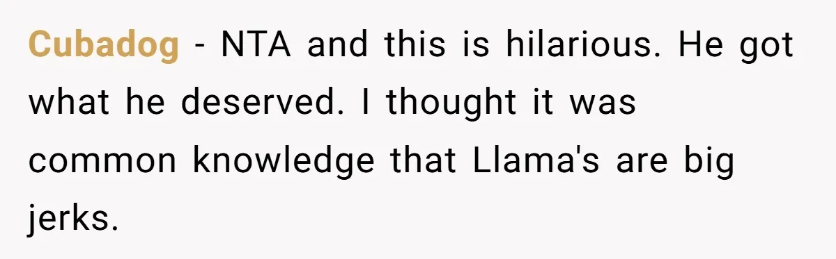 Cubadog − NTA and this is hilarious. He got what he deserved. I thought it was common knowledge that Llama's are big jerks.