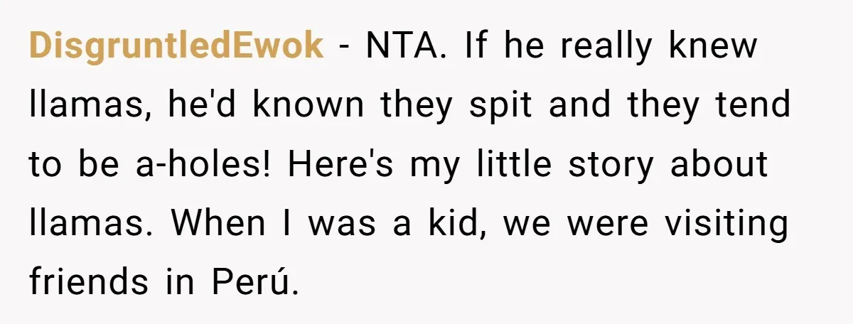 DisgruntledEwok − NTA. If he really knew llamas, he'd known they spit and they tend to be a-holes! Here's my little story about llamas. When I was a kid, we...