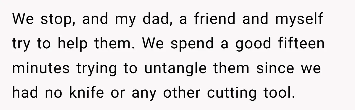 We stop, and my dad, a friend and myself try to help them. We spend a good fifteen minutes trying to untangle them since we had no knife or any...