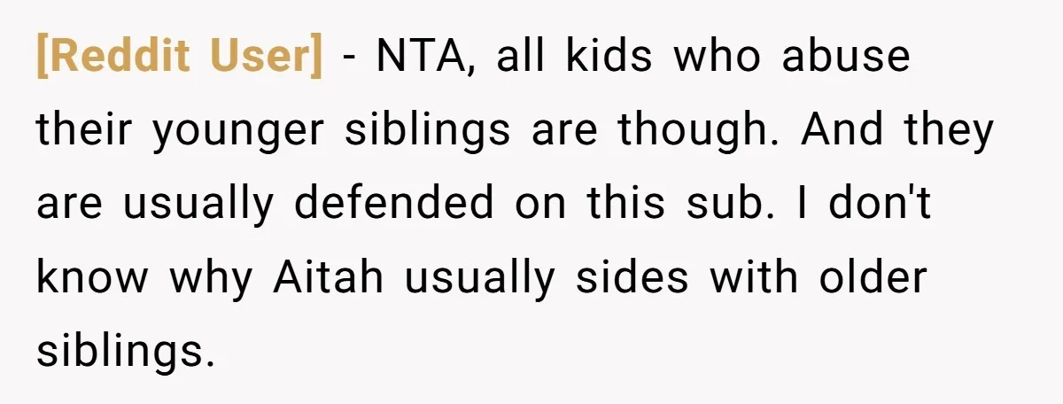 [Reddit User] − NTA, all kids who abuse their younger siblings are though. And they are usually defended on this sub. I don't know why Aitah usually sides with older...