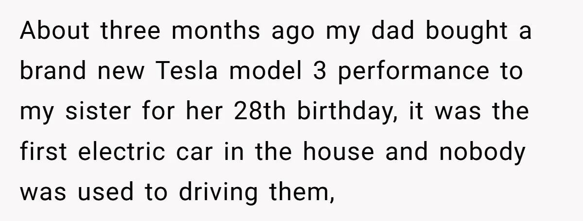 About three months ago my dad bought a brand new Tesla model 3 performance to my sister for her 28th birthday, it was the first electric car in the house...