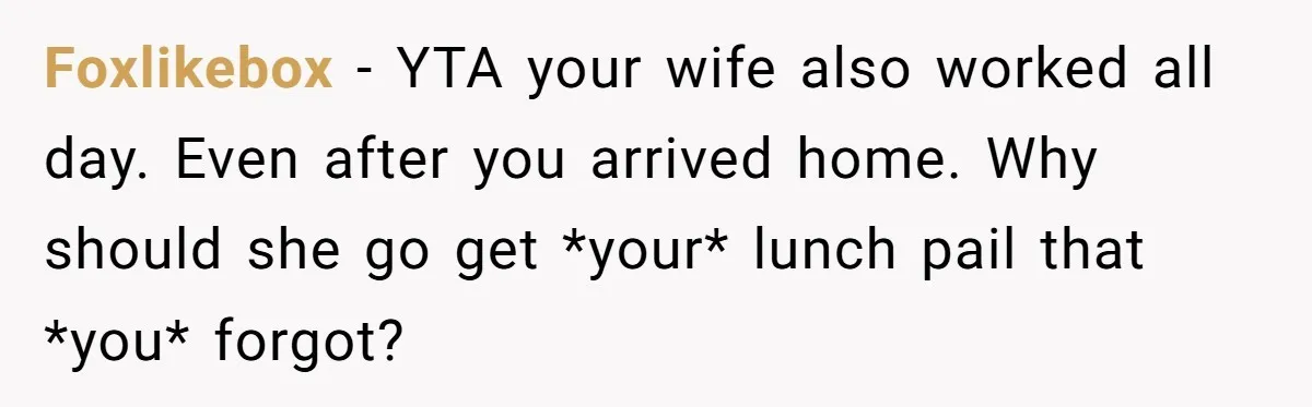 Foxlikebox − YTA your wife also worked all day. Even after you arrived home. Why should she go get *your* lunch pail that *you* forgot?
