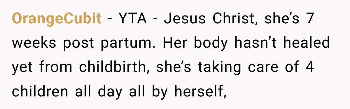OrangeCubit − YTA - Jesus Christ, she’s 7 weeks post partum. Her body hasn’t healed yet from childbirth, she’s taking care of 4 children all day all by herself,