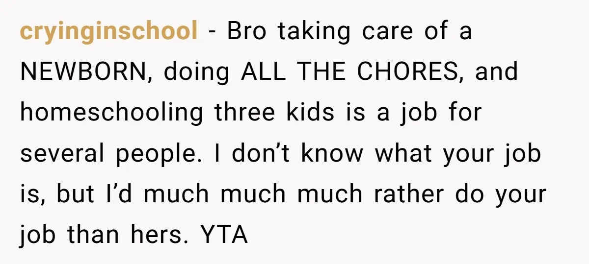 cryinginschool − Bro taking care of a NEWBORN, doing ALL THE CHORES, and homeschooling three kids is a job for several people. I don’t know what your job is, but...