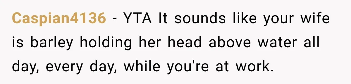Caspian4136 − YTA It sounds like your wife is barley holding her head above water all day, every day, while you're at work.