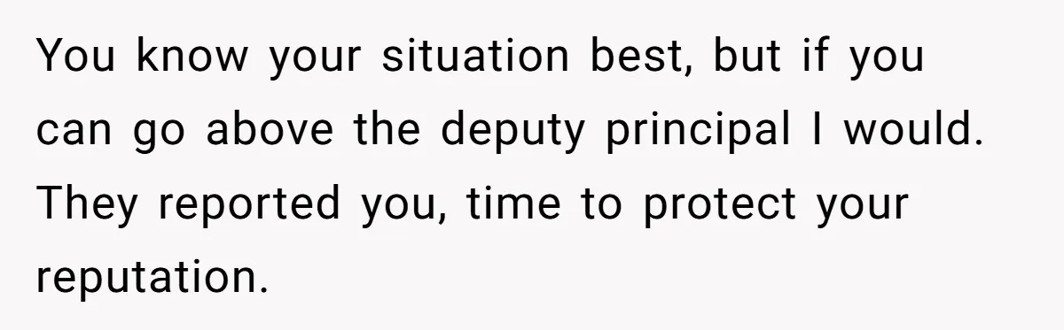 You know your situation best, but if you can go above the deputy principal I would. They reported you, time to protect your reputation.