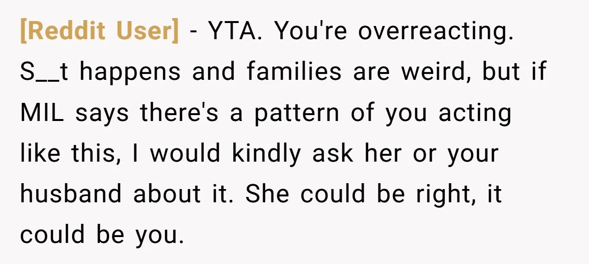 [Reddit User] − YTA. You're overreacting. S__t happens and families are weird, but if MIL says there's a pattern of you acting like this, I would kindly ask her or...