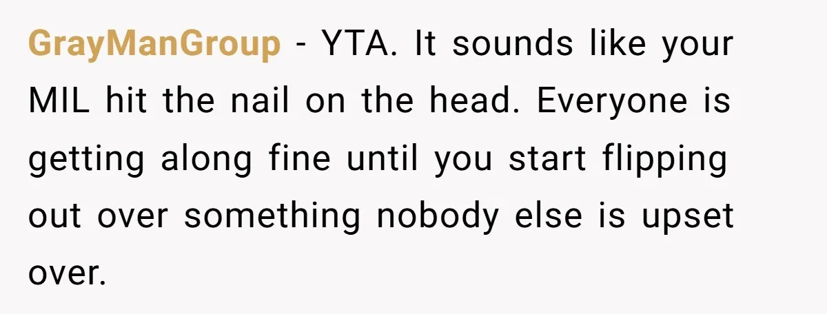 GrayManGroup − YTA. It sounds like your MIL hit the nail on the head. Everyone is getting along fine until you start flipping out over something nobody else is upset...