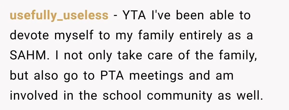 usefully_useless − YTA I've been able to devote myself to my family entirely as a SAHM. I not only take care of the family, but also go to PTA meetings...