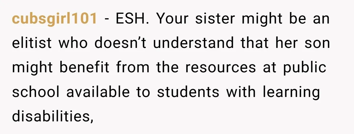 cubsgirl101 − ESH. Your sister might be an elitist who doesn’t understand that her son might benefit from the resources at public school available to students with learning disabilities,