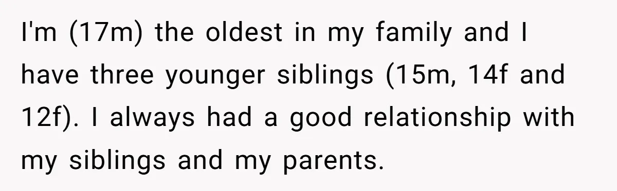 I'm (17m) the oldest in my family and I have three younger siblings (15m, 14f and 12f). I always had a good relationship with my siblings and my parents.