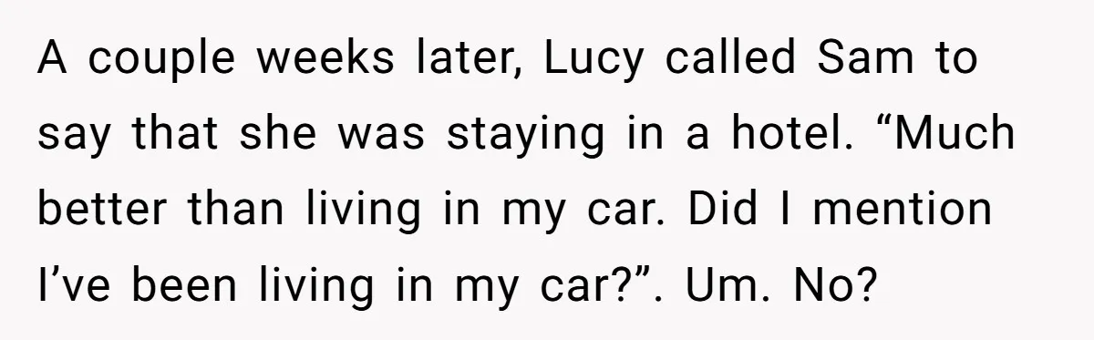 A couple weeks later, Lucy called Sam to say that she was staying in a hotel. “Much better than living in my car. Did I mention I’ve been living in...