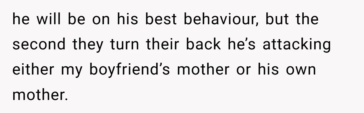 he will be on his best behaviour, but the second they turn their back he’s attacking either my boyfriend’s mother or his own mother.