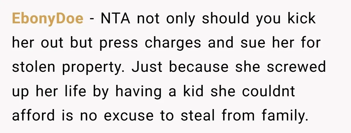 EbonyDoe − NTA not only should you kick her out but press charges and sue her for stolen property. Just because she screwed up her life by having a kid...