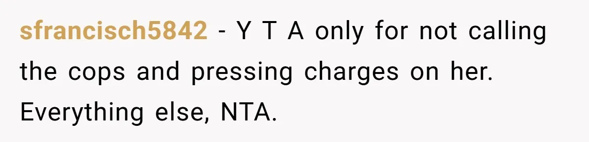 sfrancisch5842 − Y T A only for not calling the cops and pressing charges on her. Everything else, NTA.