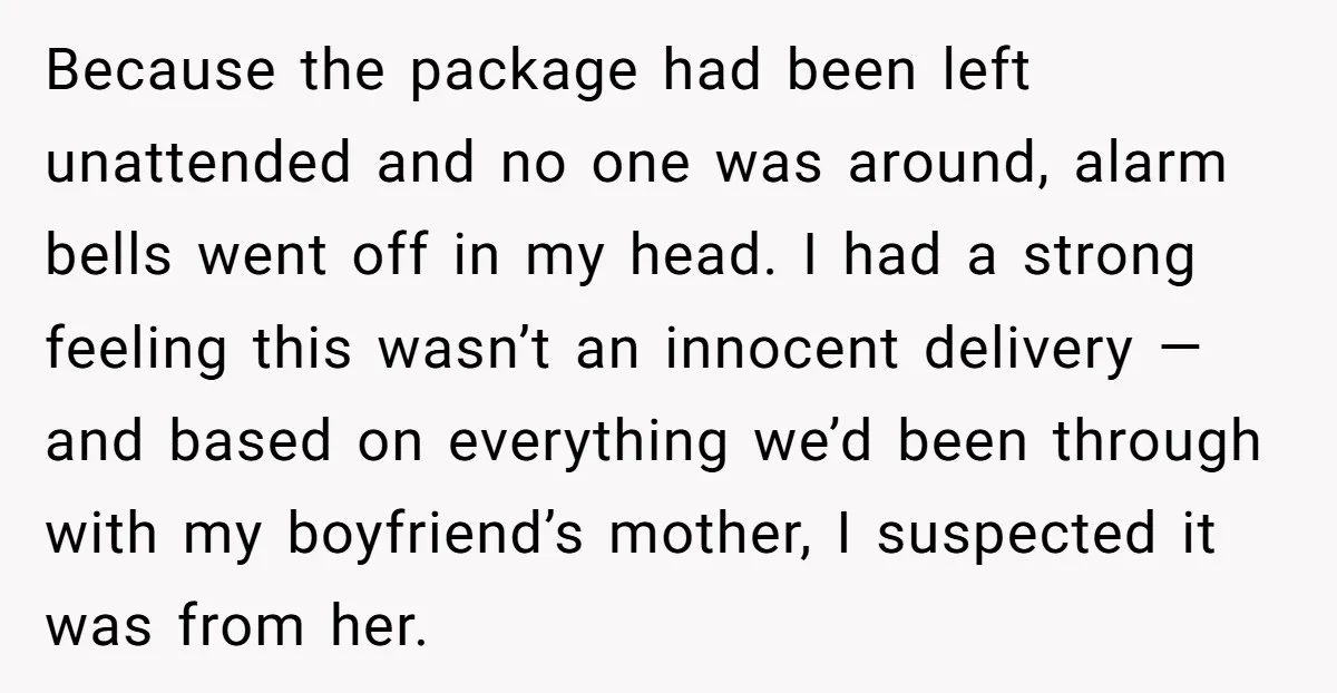 Because the package had been left unattended and no one was around, alarm bells went off in my head. I had a strong feeling this wasn’t an innocent delivery —...