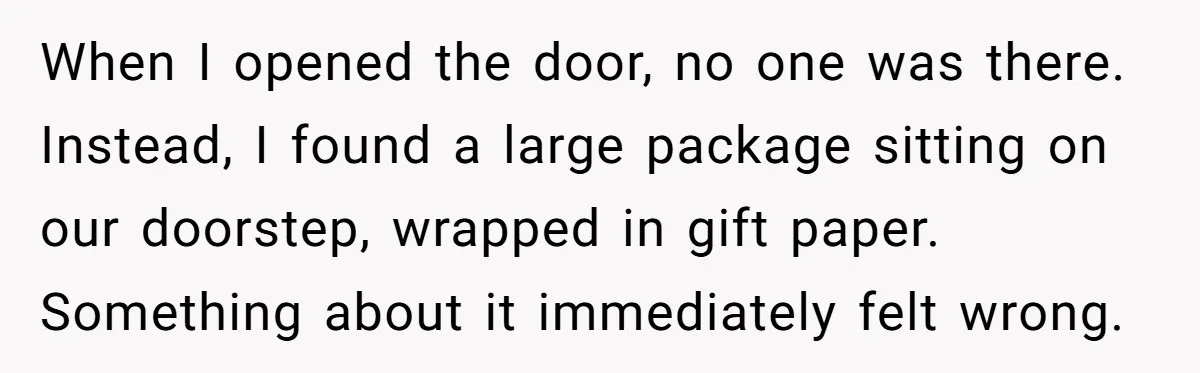 When I opened the door, no one was there. Instead, I found a large package sitting on our doorstep, wrapped in gift paper. Something about it immediately felt wrong.