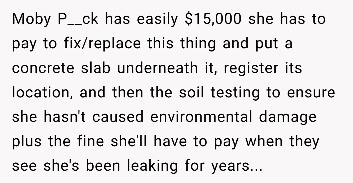 Moby P__ck has easily $15,000 she has to pay to fix/replace this thing and put a concrete slab underneath it, register its location, and then the soil testing to ensure...