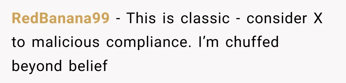 RedBanana99 − This is classic - consider X to malicious compliance. I’m chuffed beyond belief