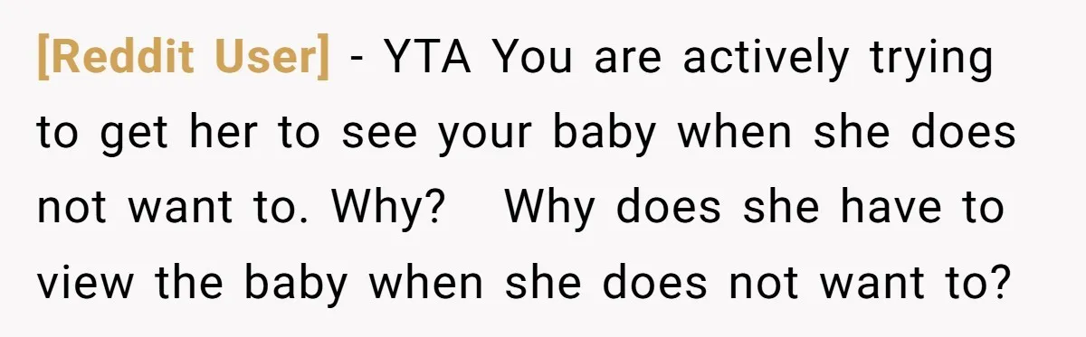 [Reddit User] − YTA You are actively trying to get her to see your baby when she does not want to. Why? Why does she have to view the baby...