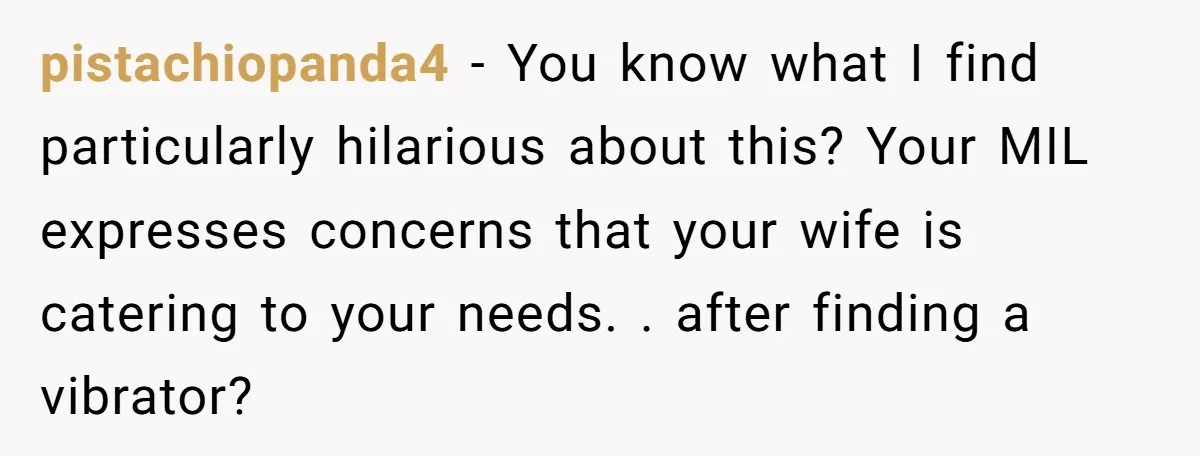 pistachiopanda4 − You know what I find particularly hilarious about this? Your MIL expresses concerns that your wife is catering to your needs. . after finding a vibrator?