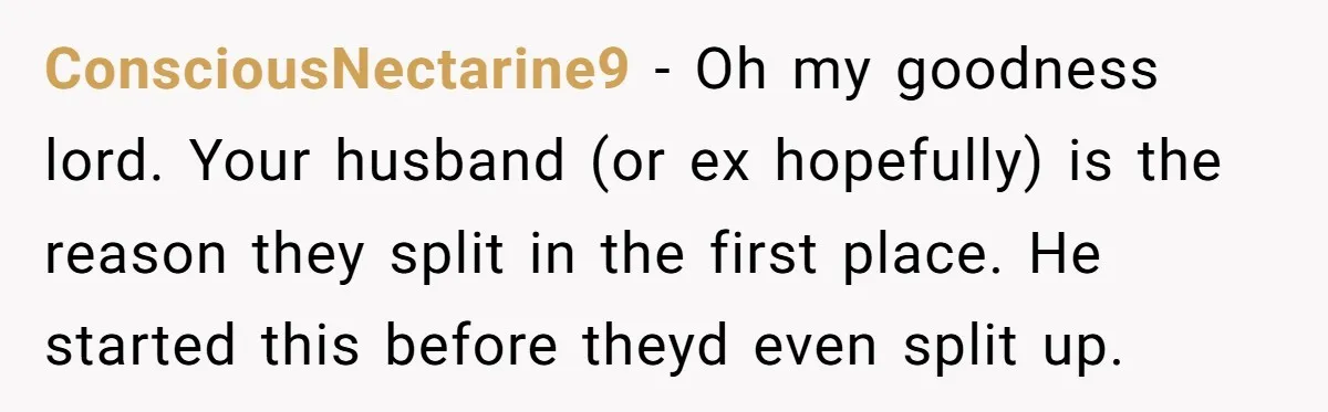 ConsciousNectarine9 − Oh my goodness lord. Your husband (or ex hopefully) is the reason they split in the first place. He started this before theyd even split up.