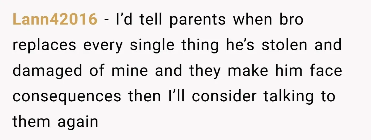 Lann42016 − I’d tell parents when bro replaces every single thing he’s stolen and damaged of mine and they make him face consequences then I’ll consider talking to them again