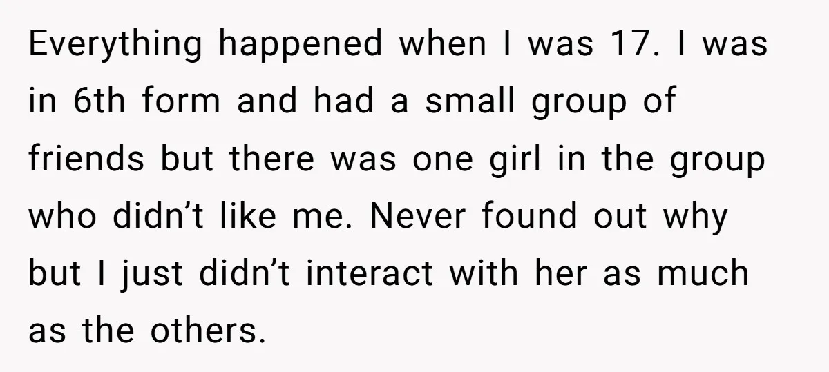 Everything happened when I was 17. I was in 6th form and had a small group of friends but there was one girl in the group who didn’t like me....