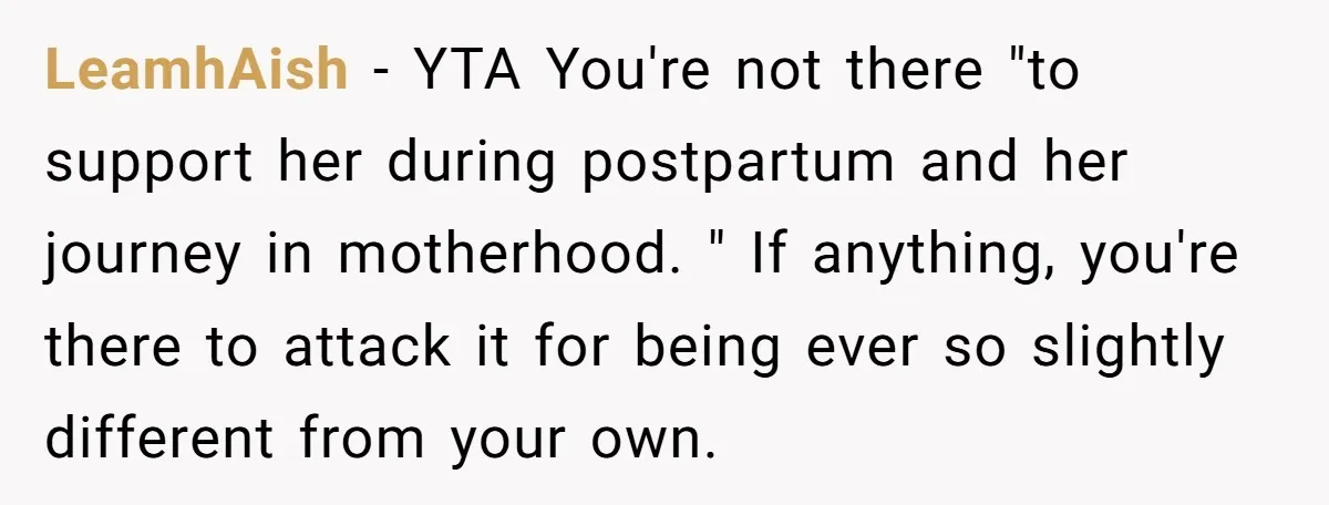 LeamhAish − YTA You're not there "to support her during postpartum and her journey in motherhood. " If anything, you're there to attack it for being ever so slightly different...