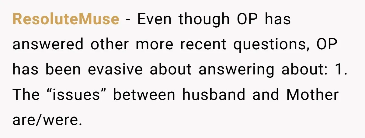 ResoluteMuse − Even though OP has answered other more recent questions, OP has been evasive about answering about: 1. The “issues” between husband and Mother are/were.