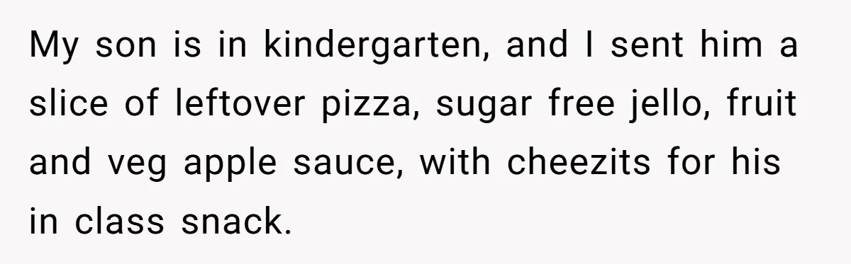 My son is in kindergarten, and I sent him a slice of leftover pizza, sugar free jello, fruit and veg apple sauce, with cheezits for his in class snack.