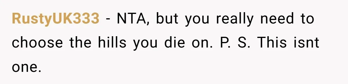 RustyUK333 − NTA, but you really need to choose the hills you die on. P. S. This isnt one.