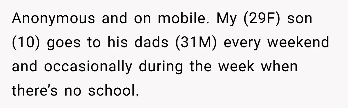 Anonymous and on mobile. My (29F) son (10) goes to his dads (31M) every weekend and occasionally during the week when there’s no school.