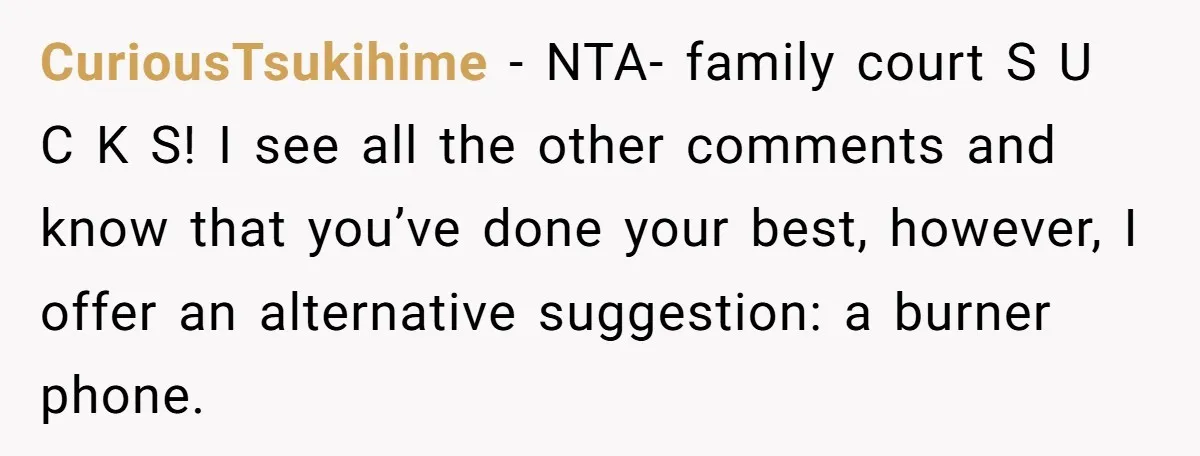 CuriousTsukihime − NTA- family court S U C K S! I see all the other comments and know that you’ve done your best, however, I offer an alternative suggestion: a...