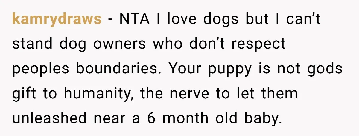 kamrydraws − NTA I love dogs but I can’t stand dog owners who don’t respect peoples boundaries. Your puppy is not gods gift to humanity, the nerve to let them...