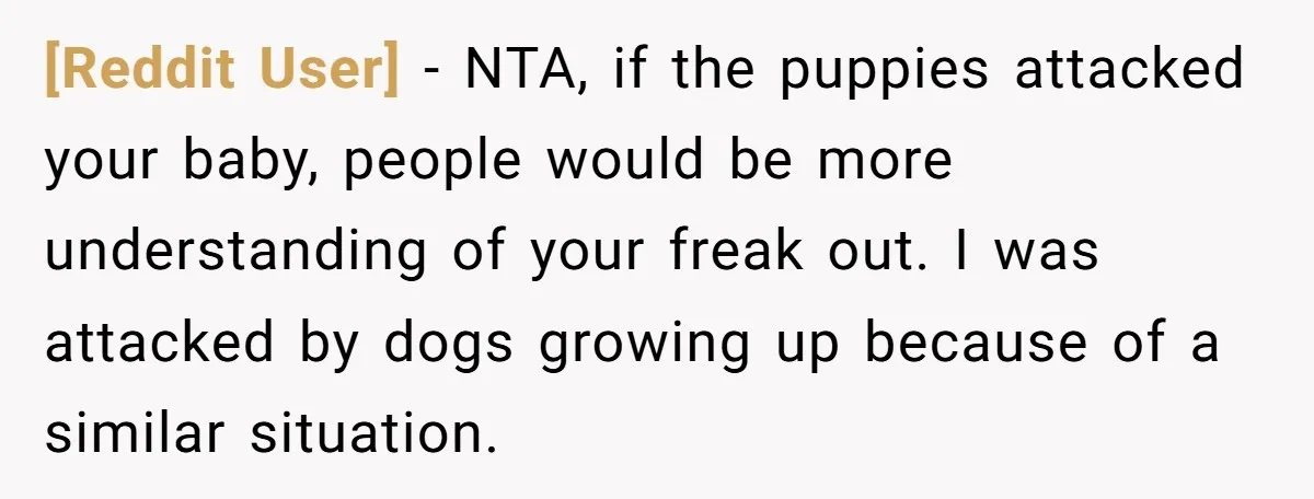[Reddit User] − NTA, if the puppies attacked your baby, people would be more understanding of your freak out. I was attacked by dogs growing up because of a similar...