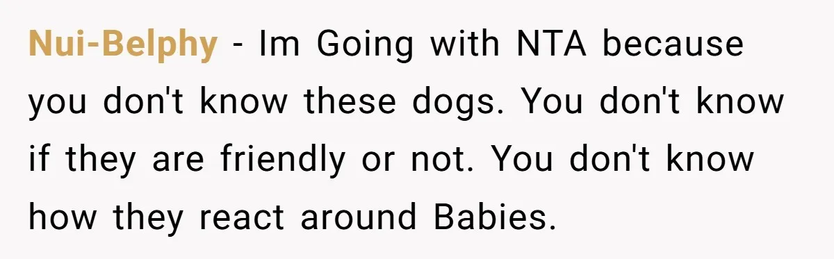 Nui-Belphy − Im Going with NTA because you don't know these dogs. You don't know if they are friendly or not. You don't know how they react around Babies.