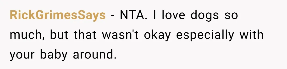 RickGrimesSays − NTA. I love dogs so much, but that wasn't okay especially with your baby around.