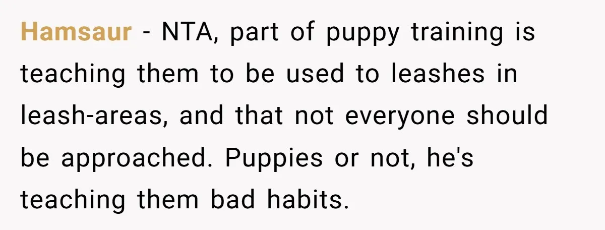 Hamsaur − NTA, part of puppy training is teaching them to be used to leashes in leash-areas, and that not everyone should be approached. Puppies or not, he's teaching them...
