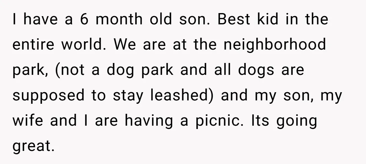 I have a 6 month old son. Best kid in the entire world. We are at the neighborhood park, (not a dog park and all dogs are supposed to stay...