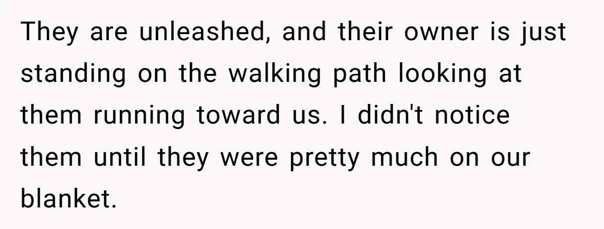 They are unleashed, and their owner is just standing on the walking path looking at them running toward us. I didn't notice them until they were pretty much on our...
