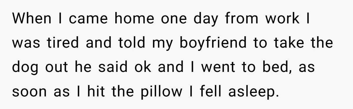 When I came home one day from work I was tired and told my boyfriend to take the dog out he said ok and I went to bed, as soon...