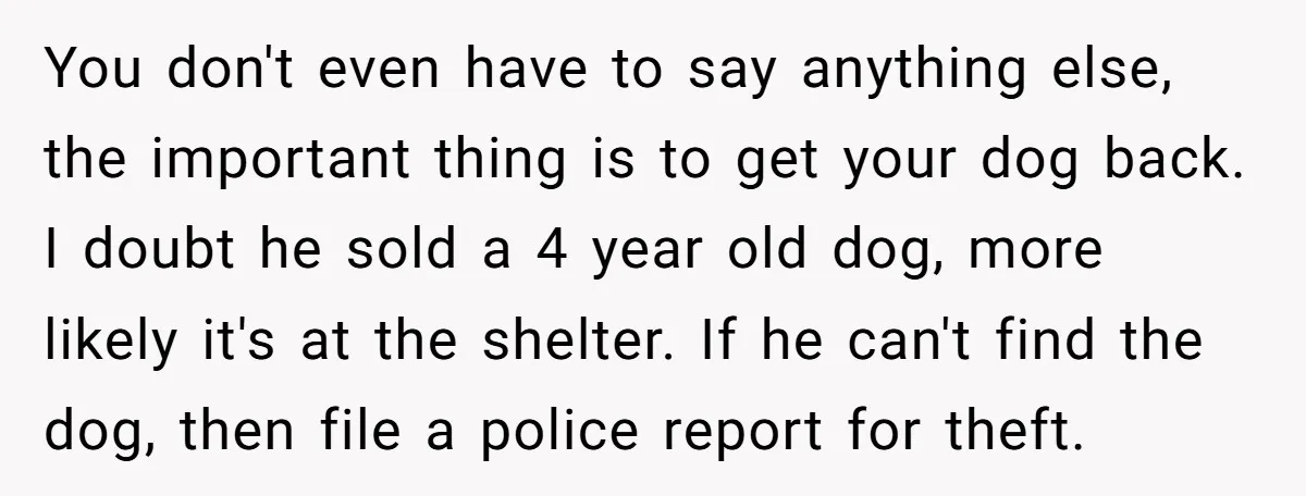 You don't even have to say anything else, the important thing is to get your dog back. I doubt he sold a 4 year old dog, more likely it's at...