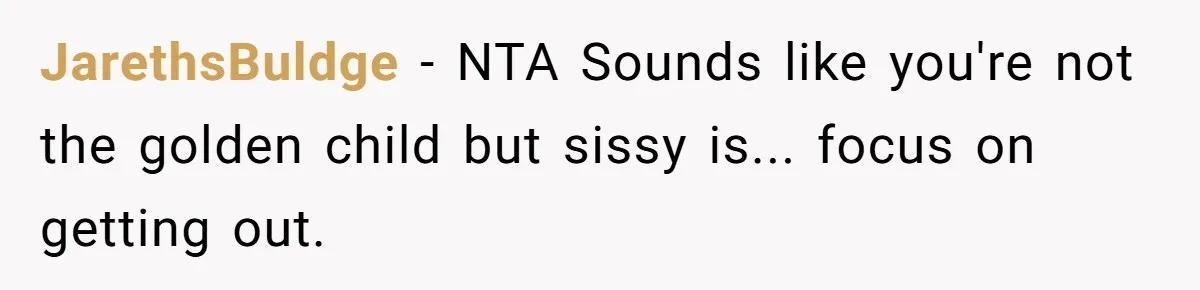 JarethsBuldge − NTA Sounds like you're not the golden child but sissy is... focus on getting out.
