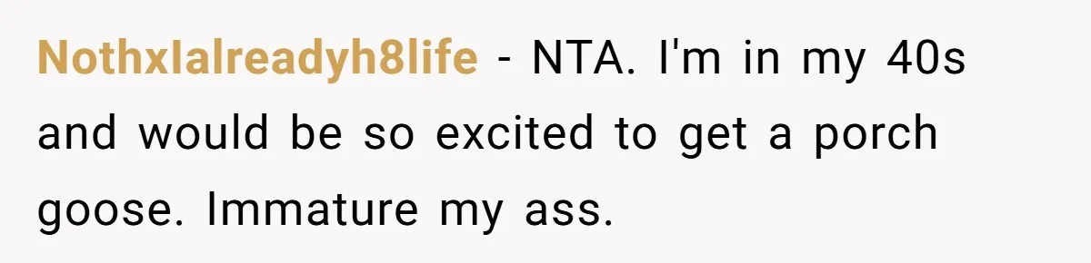NothxIalreadyh8life − NTA. I'm in my 40s and would be so excited to get a porch goose. Immature my ass.