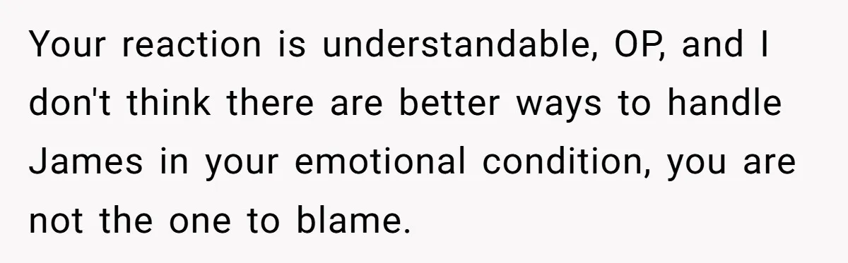 Your reaction is understandable, OP, and I don't think there are better ways to handle James in your emotional condition, you are not the one to blame.
