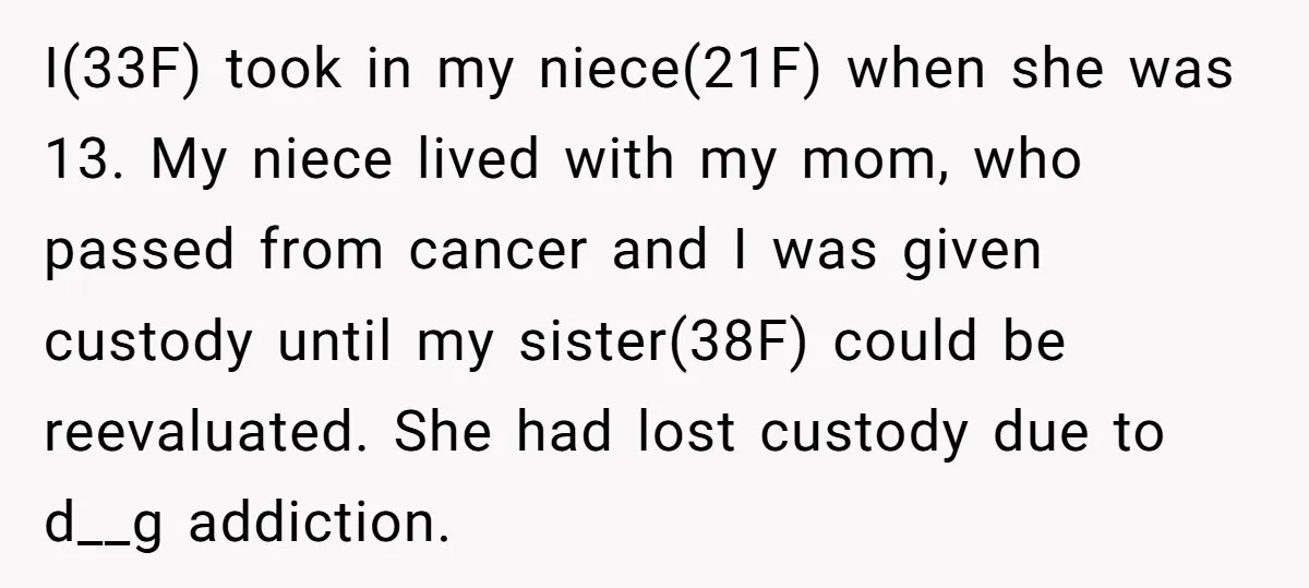 I(33F) took in my niece(21F) when she was 13. My niece lived with my mom, who passed from cancer and I was given custody until my sister(38F) could be reevaluated....