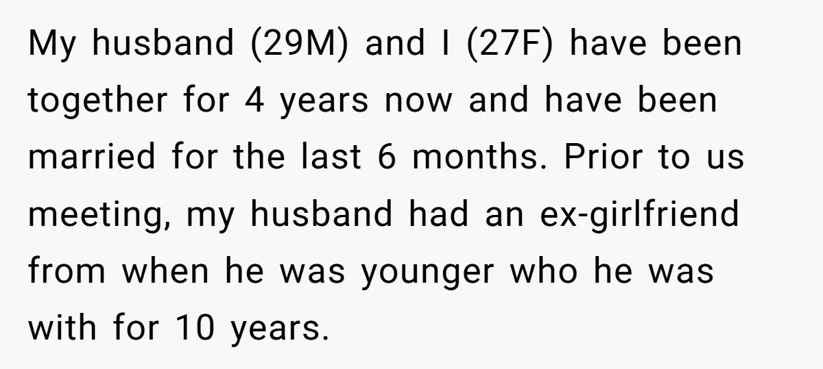 My husband (29M) and I (27F) have been together for 4 years now and have been married for the last 6 months. Prior to us meeting, my husband had an...