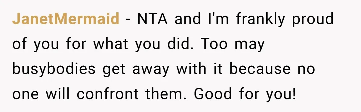 JanetMermaid − NTA and I'm frankly proud of you for what you did. Too may busybodies get away with it because no one will confront them. Good for you!