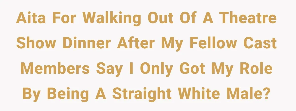 AITA for walking out of a theatre show dinner after my fellow cast members say I only got my role by being a straight white male?